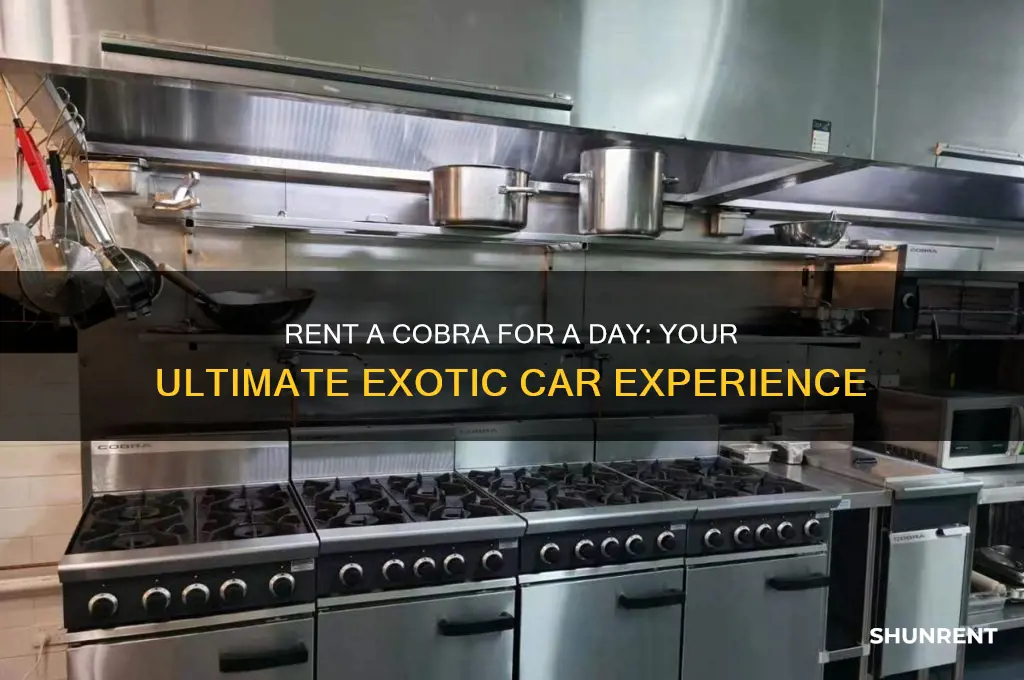 how do i rent a cobra for a day