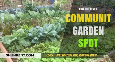 Renting a Community Garden Spot: A Step-by-Step Guide for Beginners
