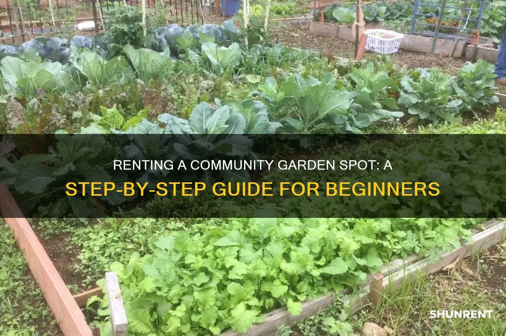 how do i rent a community garden spot