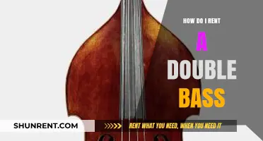 Renting a Double Bass: A Beginner's Guide to Finding the Perfect Instrument