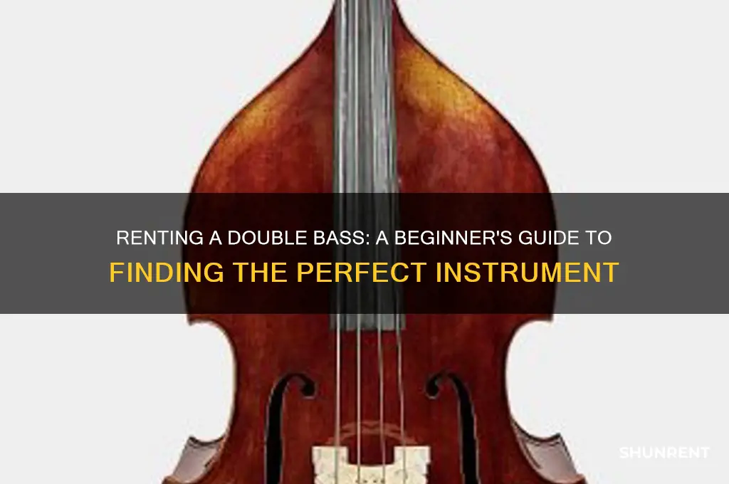 how do i rent a double bass