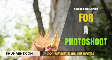 Renting a Pony for Photoshoots: Tips, Costs, and Best Practices