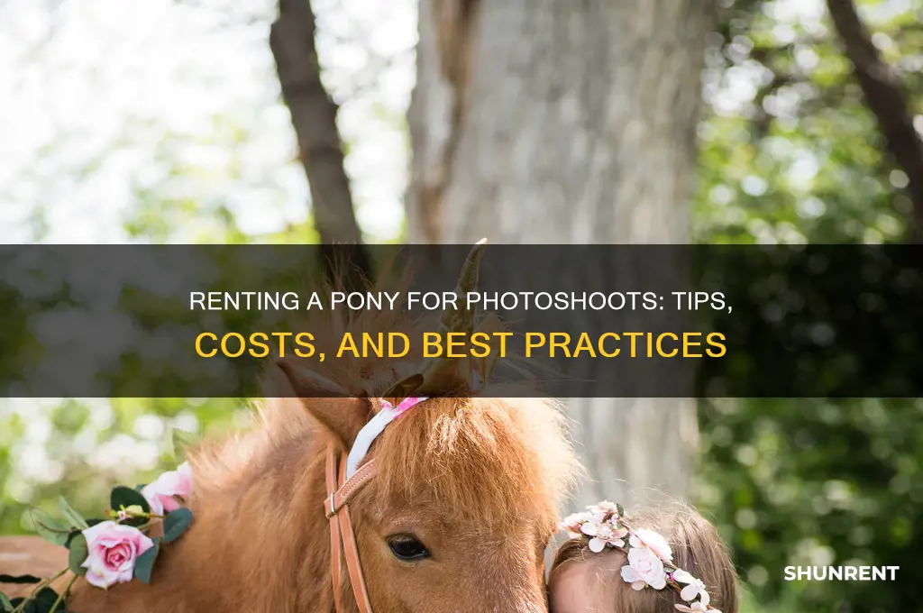 how do i rent a pony for a photoshoot