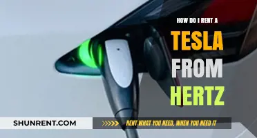 Renting a Tesla from Hertz: A Step-by-Step Guide for Drivers