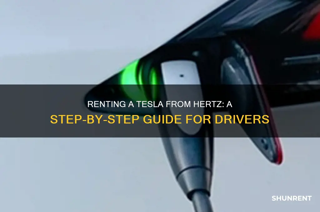 how do i rent a tesla from hertz