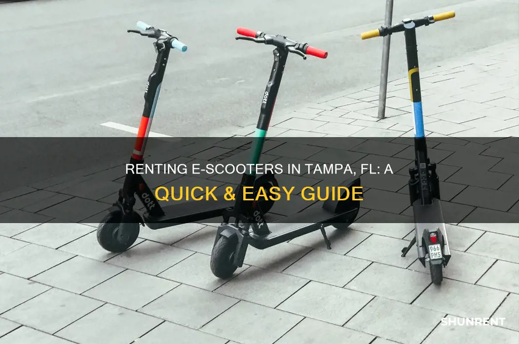 how do i rent an e scooter in tampa fl