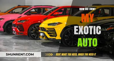 Renting Your Exotic Car: A Step-by-Step Guide to Maximize Profits