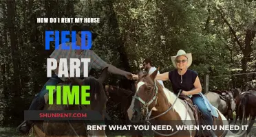 Rent Your Horse Field Part-Time: A Guide to Earning Extra Income