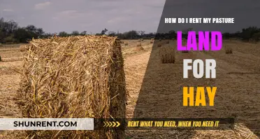 Renting Pasture Land for Hay: A Step-by-Step Guide for Landowners