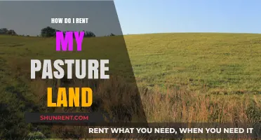 Maximizing Income: Renting Your Pasture Land for Profit