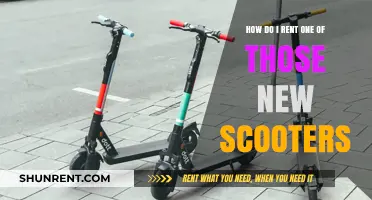 Renting New Scooters: A Beginner's Guide to Getting Started