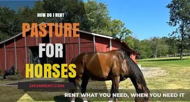 Renting Pasture for Horses: A Step-by-Step Guide for Owners