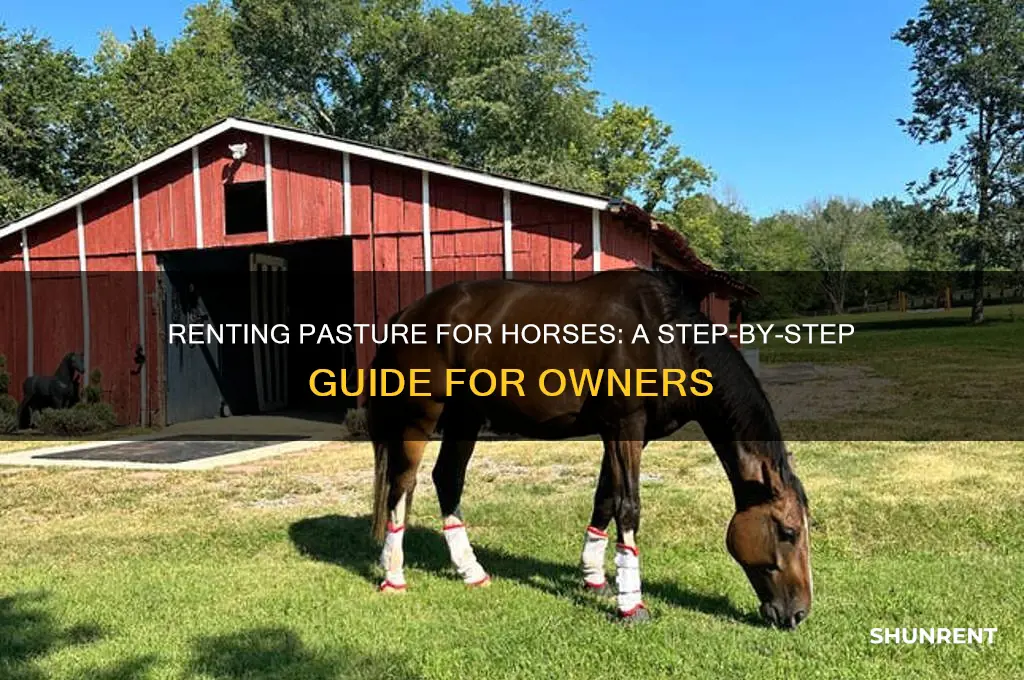 how do i rent pasture for horses