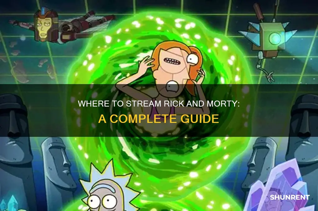 how do i rent rick and morty