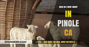 Renting Sheep in Pinole, CA: A Unique Guide to Local Grazing Services