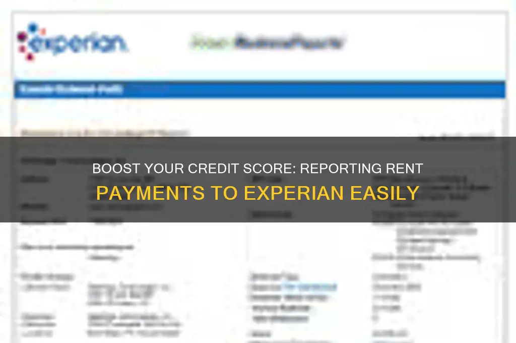 how do i report my rent to experian