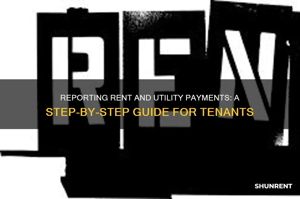 how do i report rent and utility payments