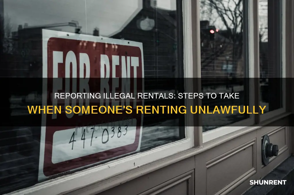 how do i report someone illegally renting