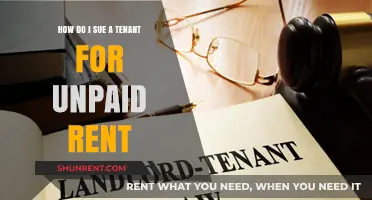 Sue a Tenant for Unpaid Rent: A Step-by-Step Guide
