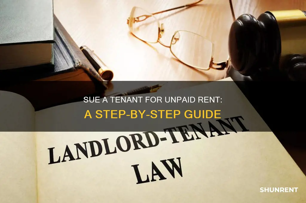 how do i sue a tenant for unpaid rent