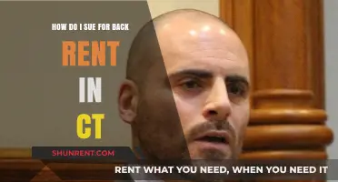Suing for Back Rent in Connecticut: A Step-by-Step Legal Guide
