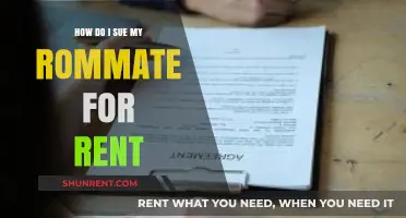 Suing Your Roommate for Unpaid Rent: A Step-by-Step Legal Guide
