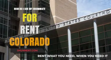 Suing Your Roommate for Unpaid Rent in Colorado: A Legal Guide