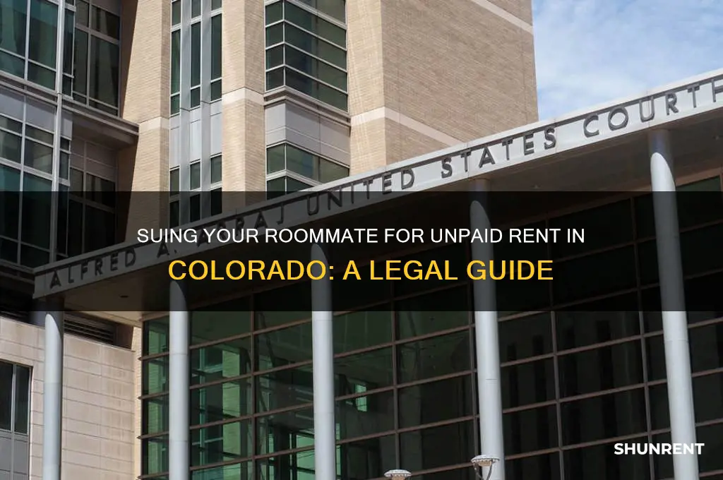 how do i sue my roommate for rent colorado