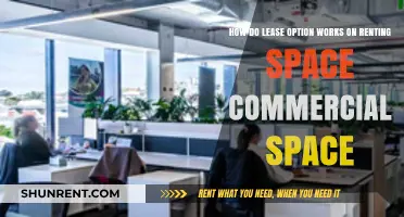 Understanding Lease Options for Renting Commercial Space: A Comprehensive Guide