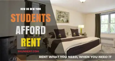 Surviving NYC: How Students Manage Sky-High Rent on a Budget