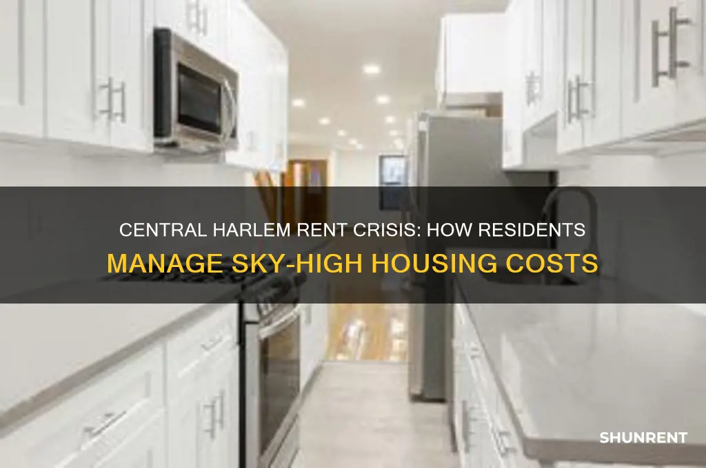 how do people in central harlem afford rent