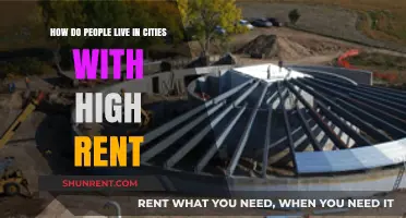 Surviving Sky-High Rent: Urban Living Strategies for City Dwellers