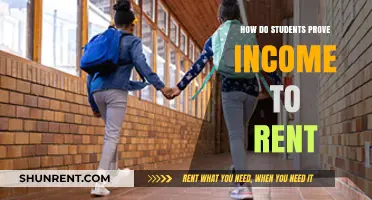 Proving Income as a Student: Tips for Renting Your First Place