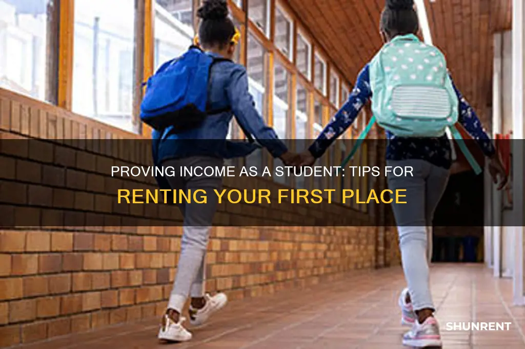 how do students prove income to rent