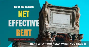 Understanding Net Effective Rent: Calculation Methods and Practical Applications