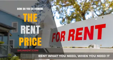 Setting the Right Rent: Key Factors to Determine Your Property's Price
