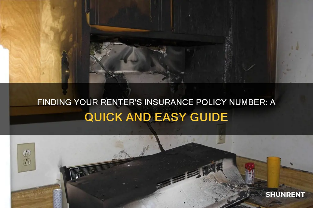 how do you find my renter