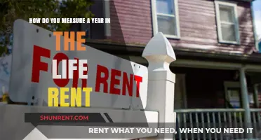 Measuring a Year in Rent: Life's Cost and Value Insights