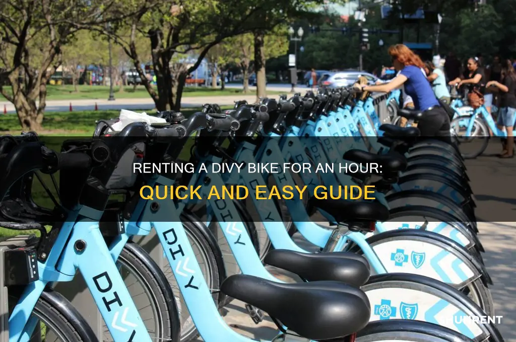 how do you rent a divy bike for an hour