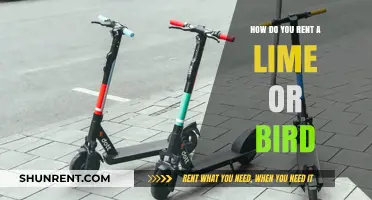 Renting Lime or Bird Scooters: A Beginner's Guide to Urban Mobility