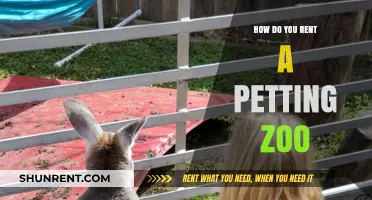 Renting a Petting Zoo: A Step-by-Step Guide for Events