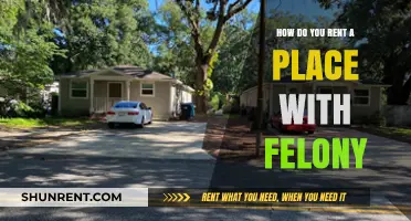 Renting with a Felony: Strategies to Secure Housing Successfully