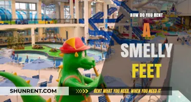 Renting Smelly Feet: A Unique Niche Market Explained