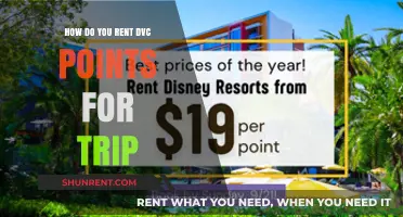 Renting DVC Points: A Step-by-Step Guide for Your Dream Vacation