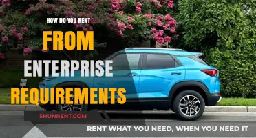 Renting from Enterprise: Essential Requirements and Tips for a Smooth Process