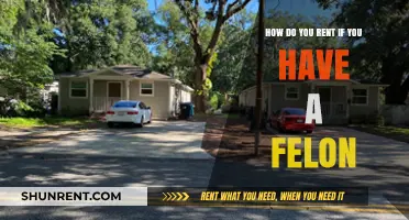 Renting with a Felony: Strategies for Securing Housing Successfully