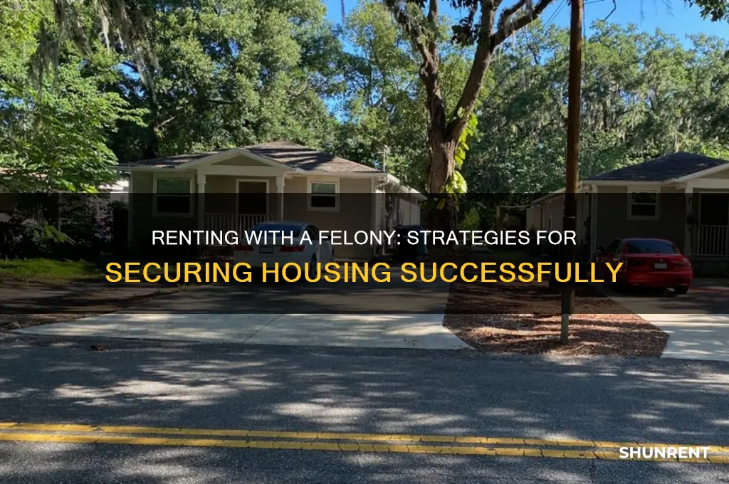 how do you rent if you have a felon