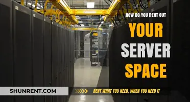 Maximize Profits: A Guide to Renting Out Your Server Space