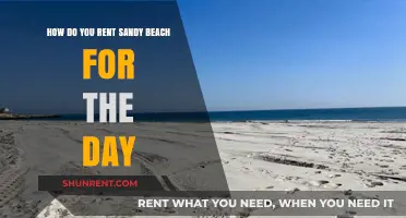 Renting Your Own Sandy Beach: A Day-Long Tropical Escape Guide