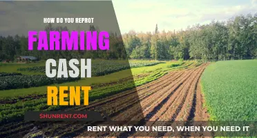 Mastering Cash Rent Reporting for Farming Operations: A Step-by-Step Guide